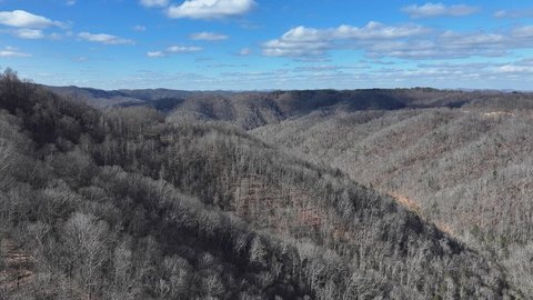 131 Acres in Bee, VA
