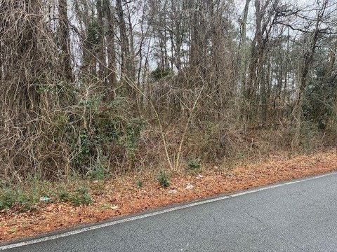 Residential Land in Powder Springs