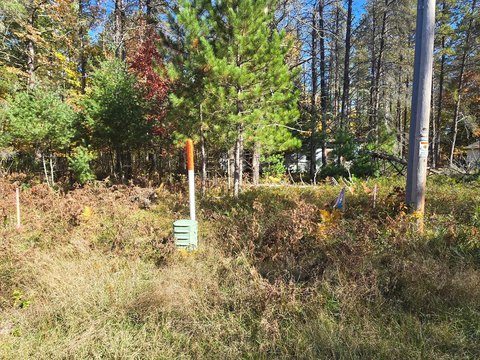 Land, Conover, WI
