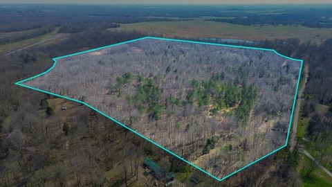 Waterfront Hunting Land with Ponds