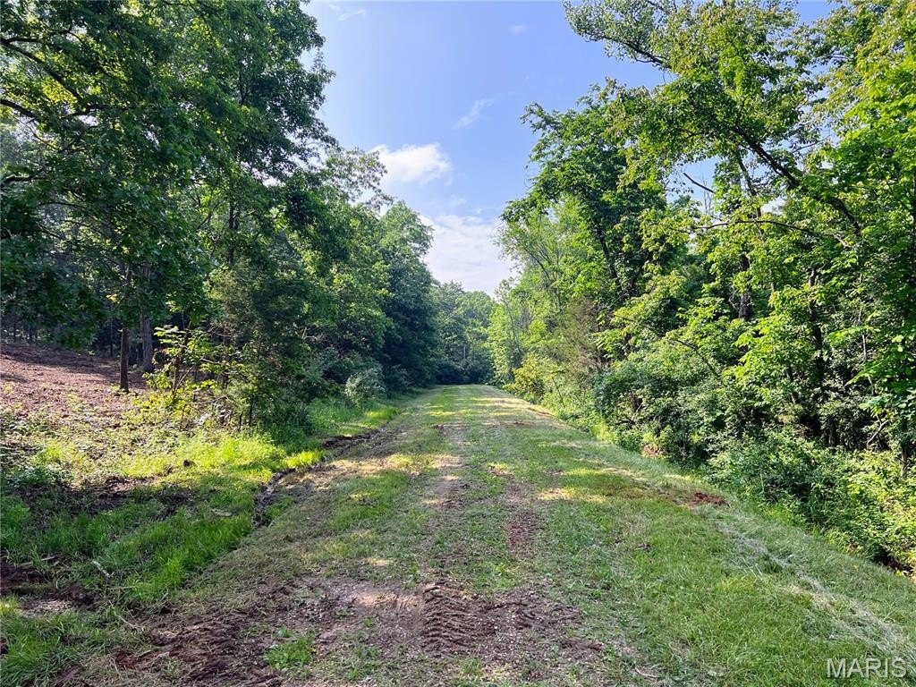 Land - Bonne Terre, MO