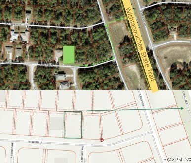 Cleared Land in Citrus Springs