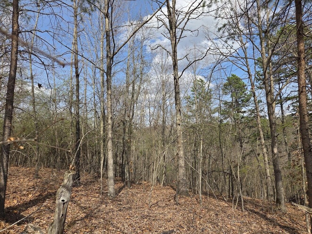 Picture 22