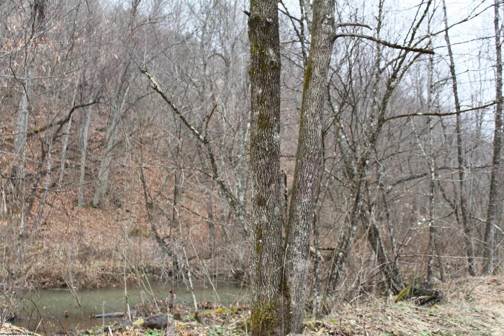 Picture 7