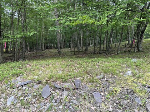 Wooded Lot in Bushkill, PA