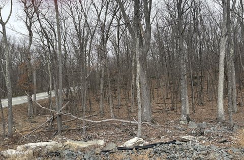 Milford, PA Commercial Land