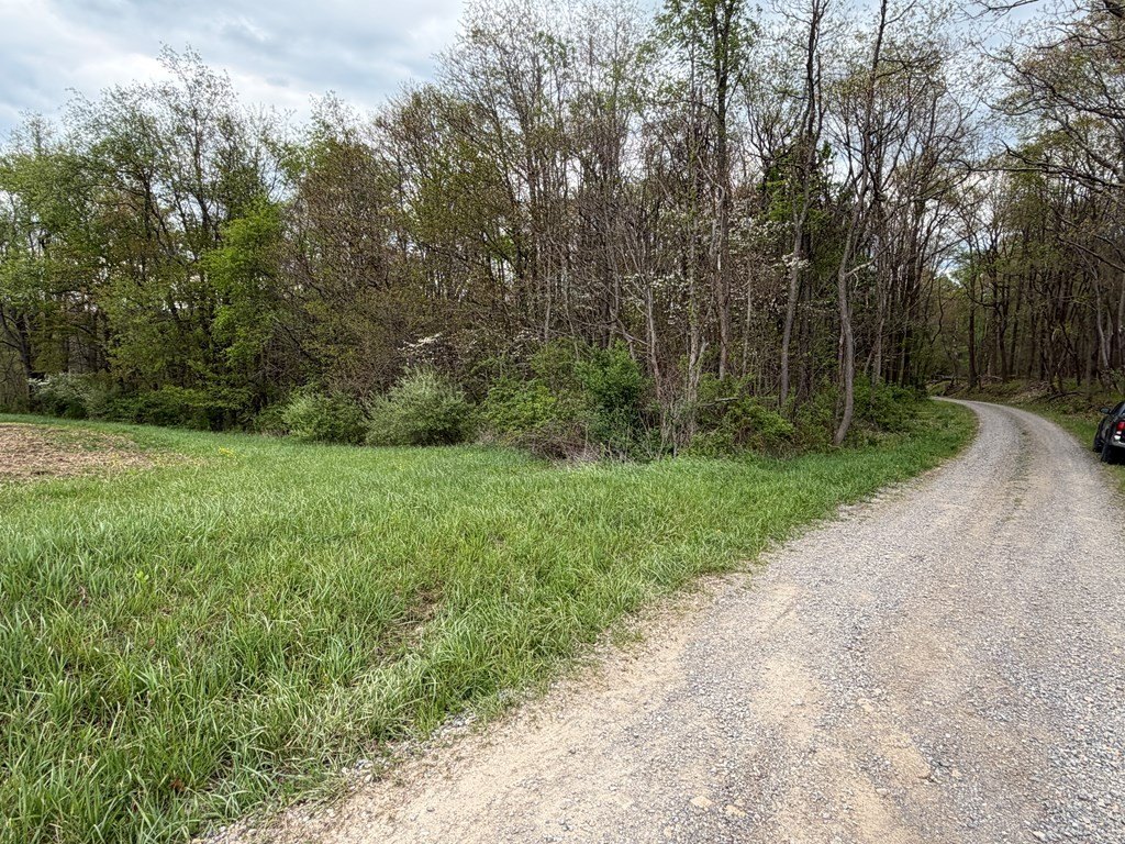 Picture 13