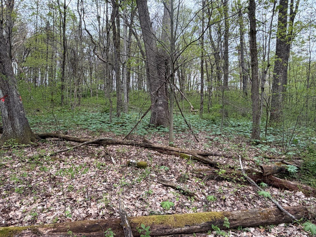 Picture 19