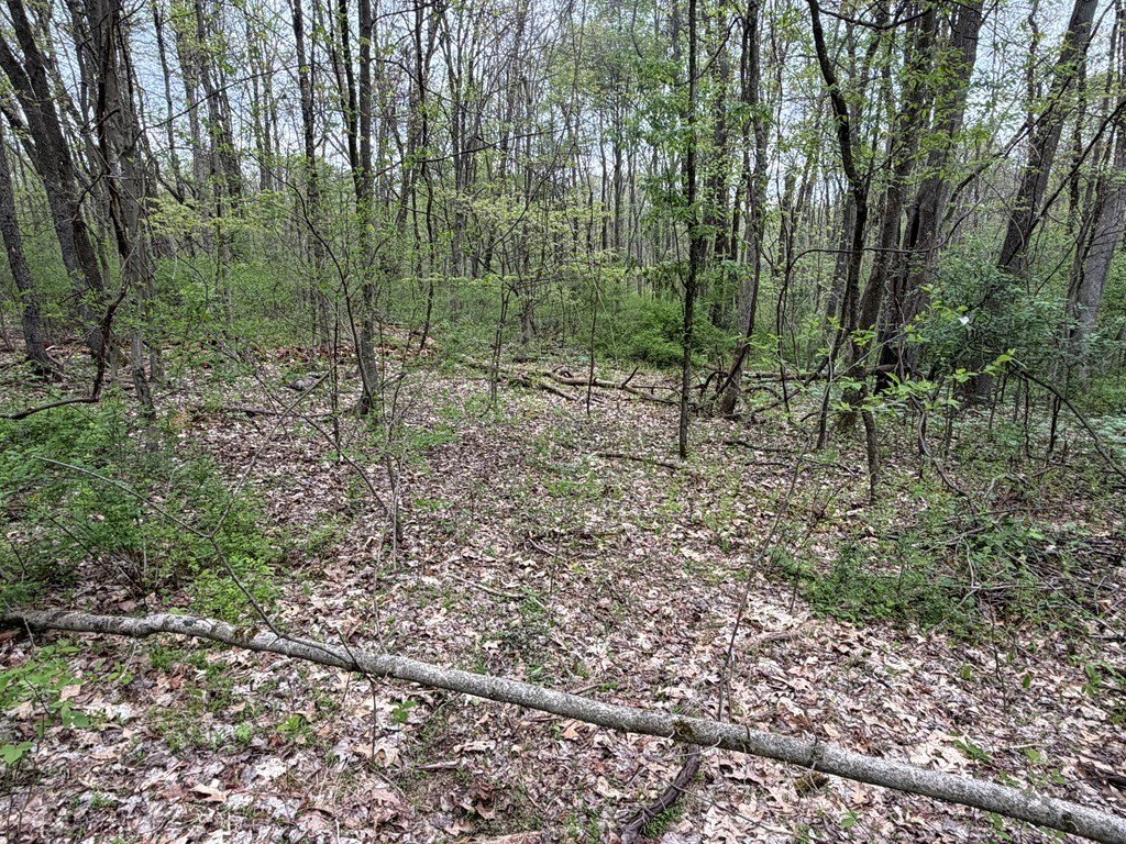 Picture 17