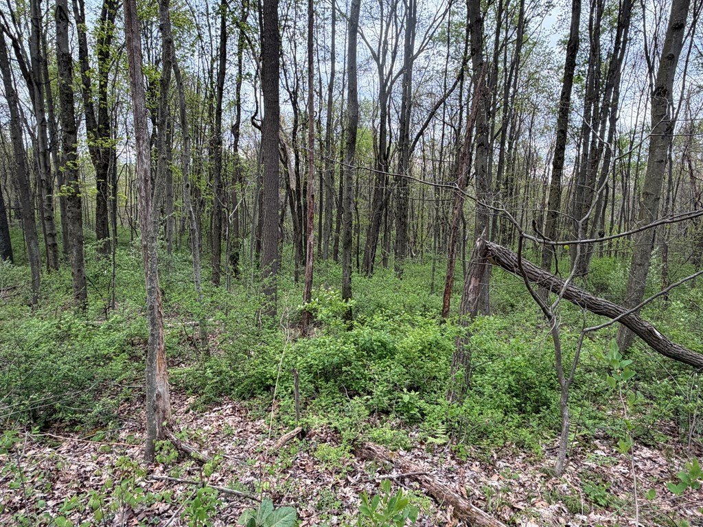 Picture 16
