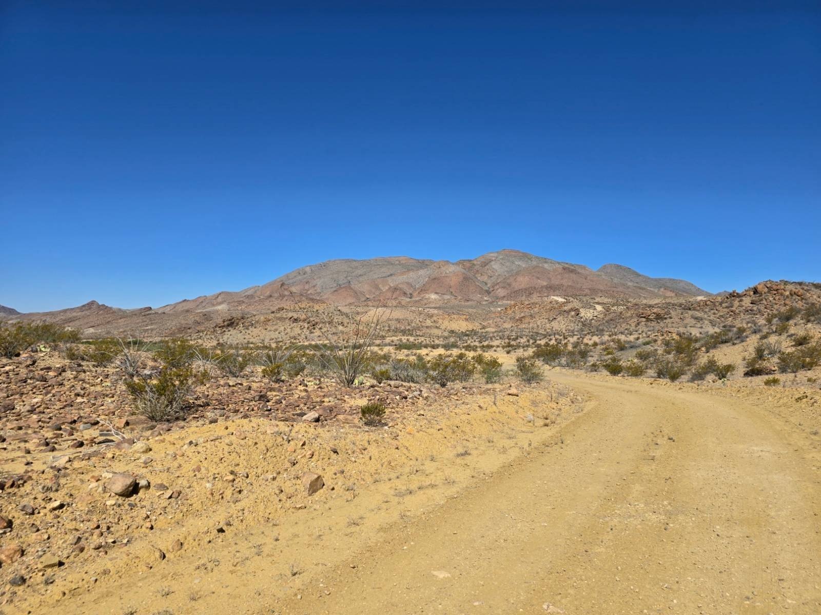 Terlingua Vacant Land with Views