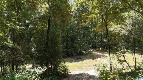 5-Acre Riverfront Homesite Opportunity