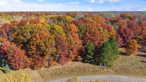 Land, Isanti, MN
