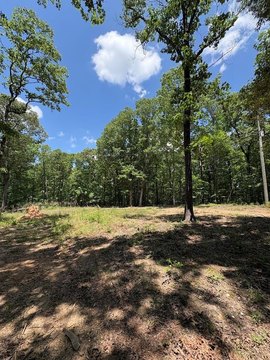 LAND - Tallapoosa, GA