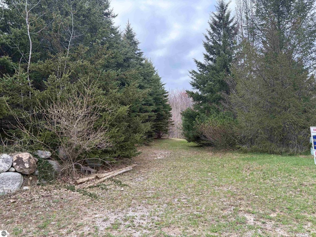 Picture 30