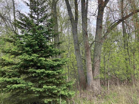 Wooded Land Parcel with Shared Pond