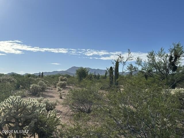 Picture 18