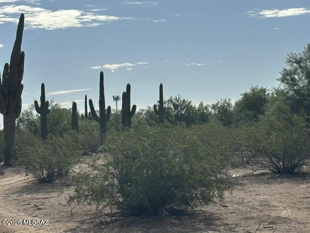 Picture 8