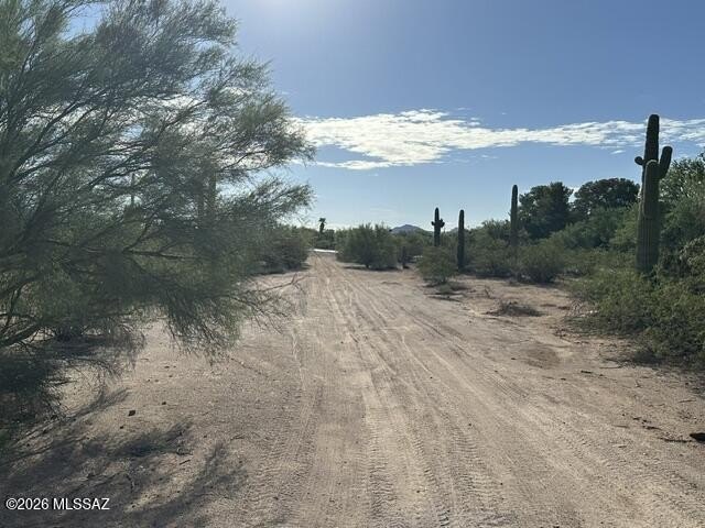 Picture 21