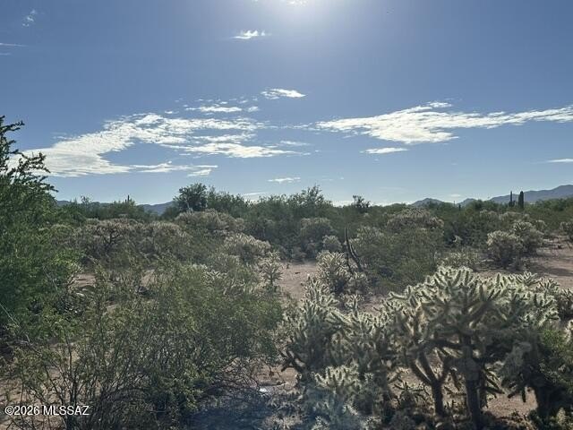Picture 17