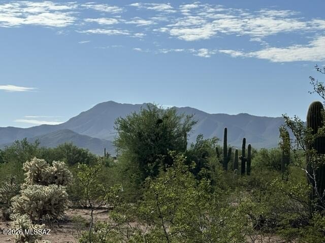 Picture 16