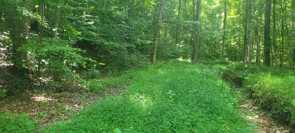 Picture 5