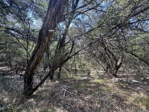 Land, Lakehills, TX