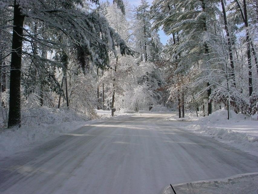 Picture 11