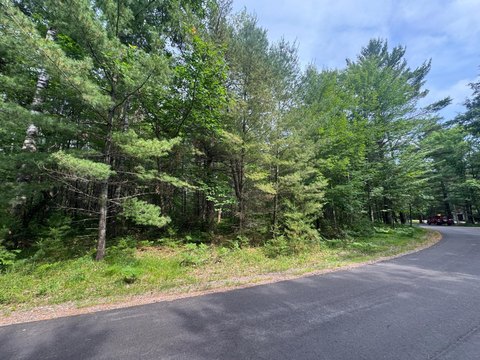 LAND - Minocqua, WI