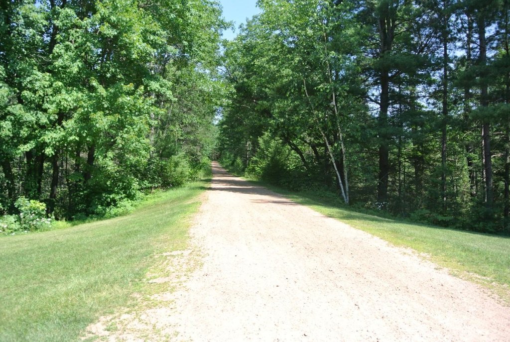 Picture 8