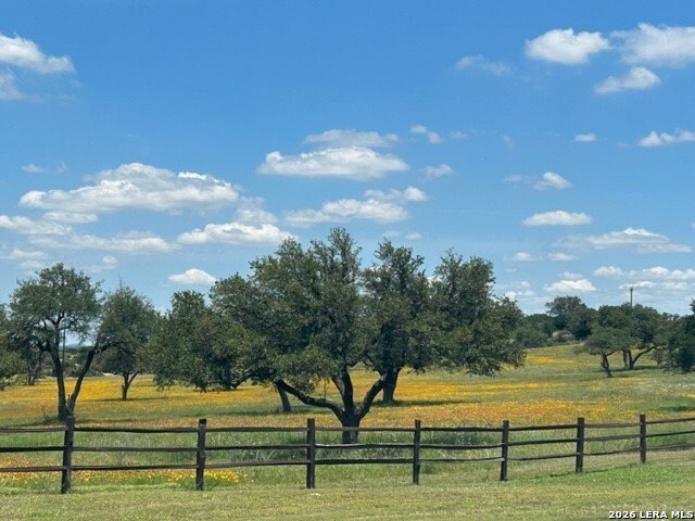 Picture 39
