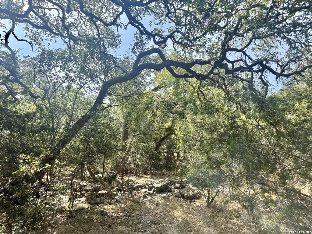 Picture 22
