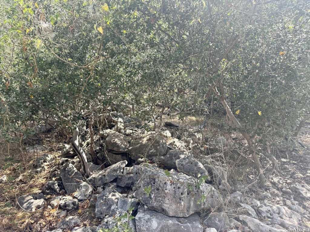 Picture 16