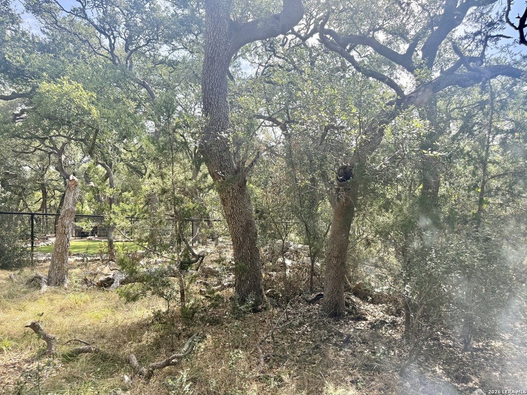 Picture 21