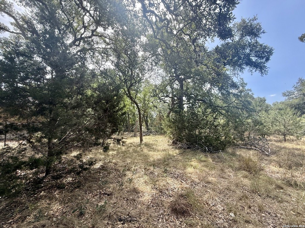 Picture 10