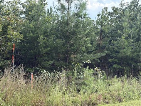Land, Scottsburg, VA