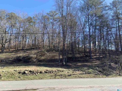 Springville Land For Sale