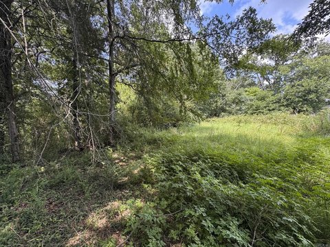 LAND - Clarksville, AR