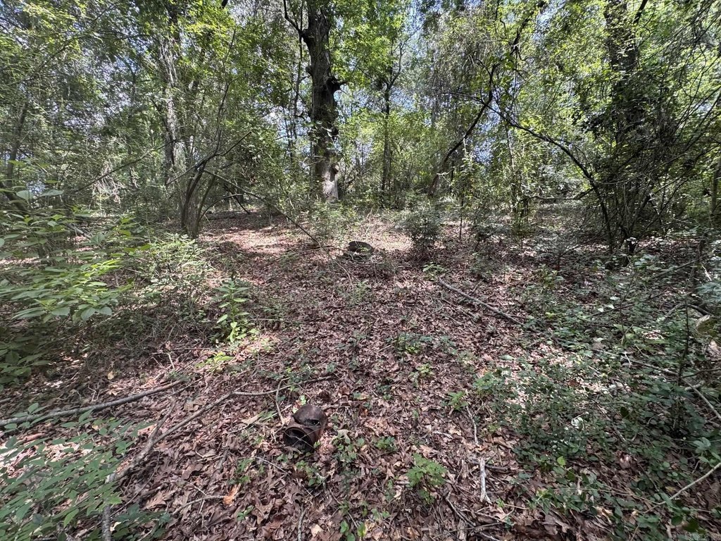 Picture 5