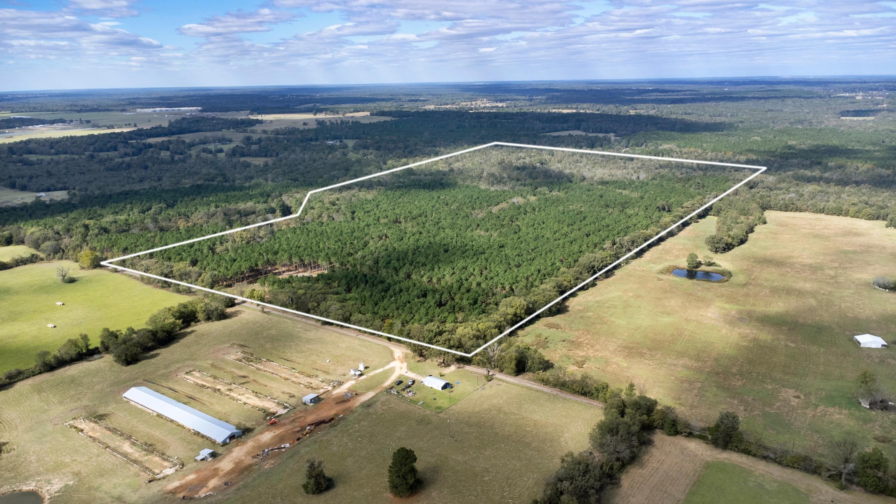East Texas Land with Timber