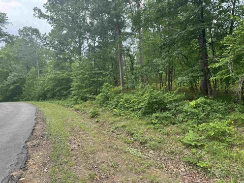 Residential Lot in Gated Community
