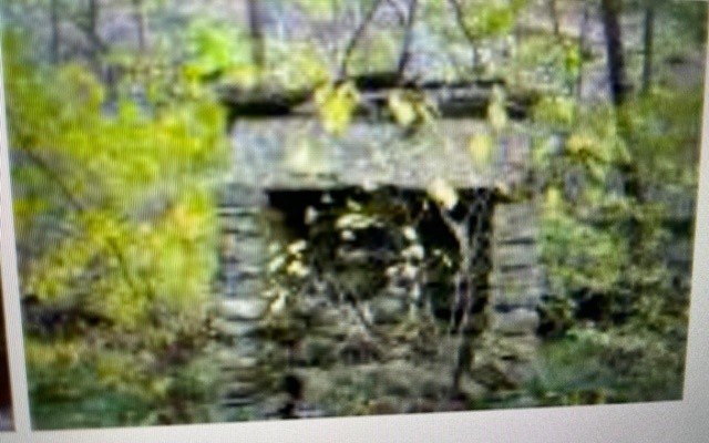 Picture 16