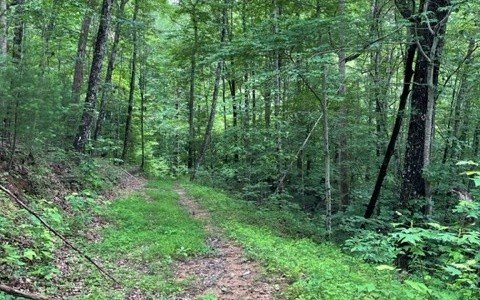 Picture 6
