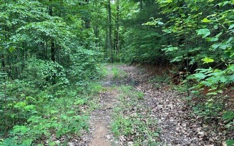 Picture 15