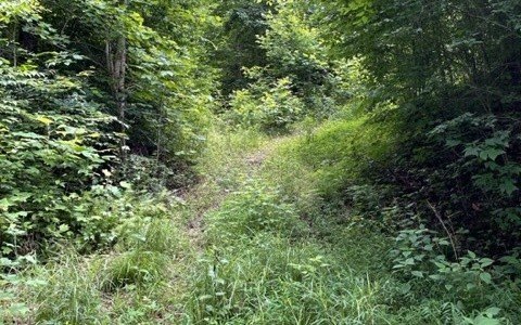 Picture 11