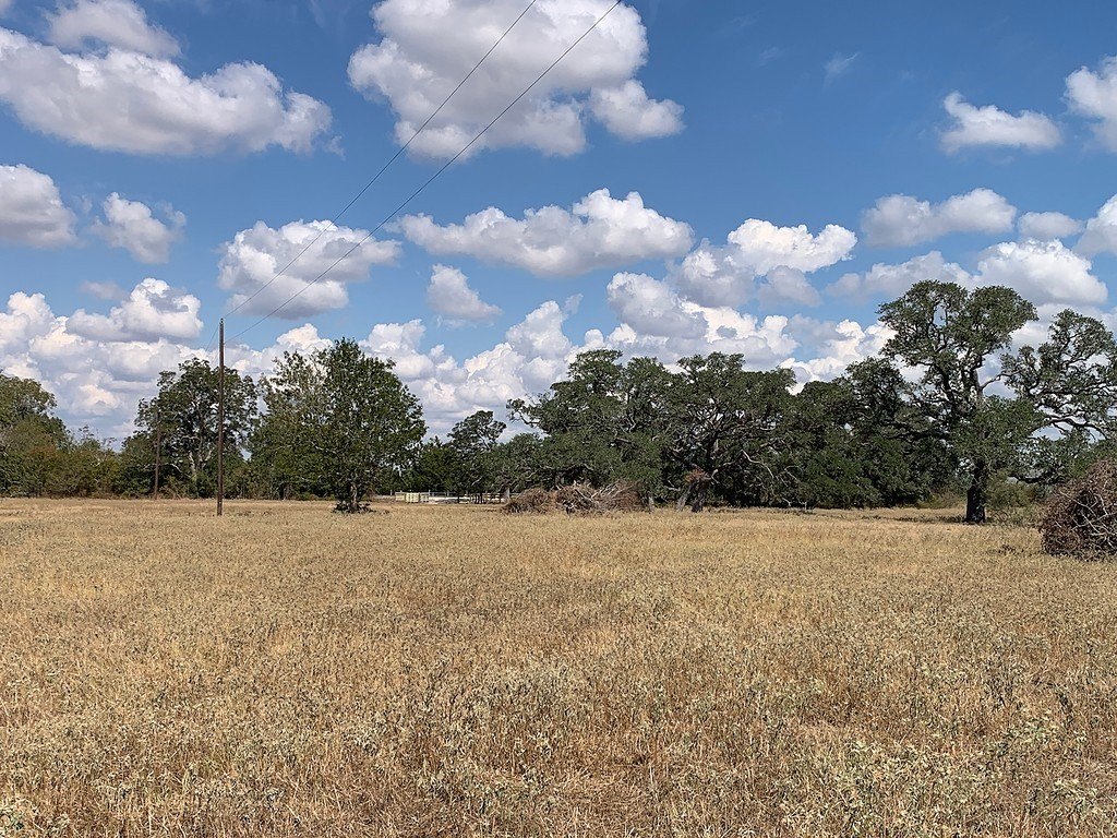Picture 19