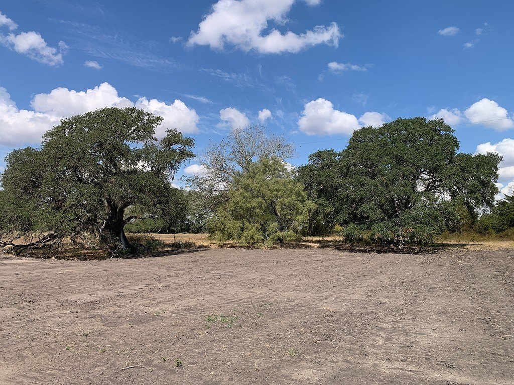 Picture 20