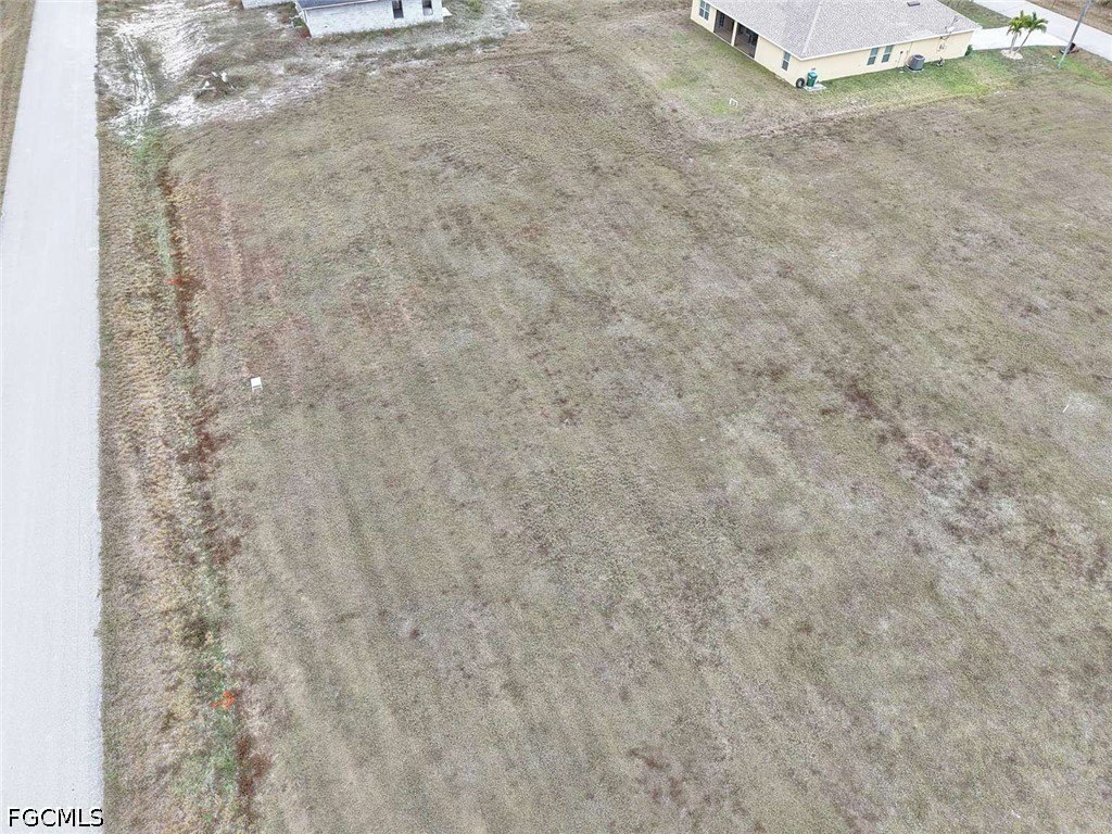Picture 5