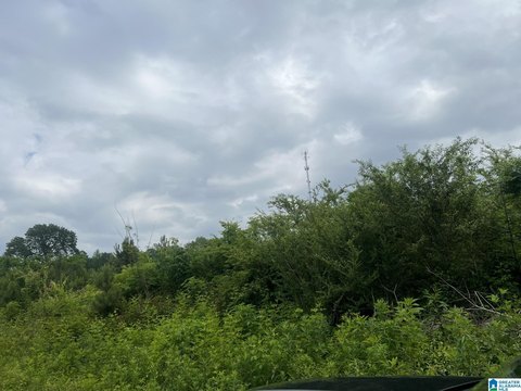 LAND/LOTS, STEELE, AL
