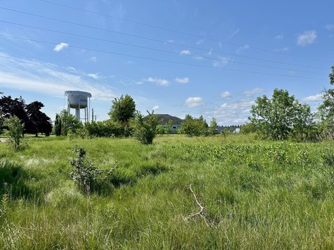 CHEBOYGAN, MI